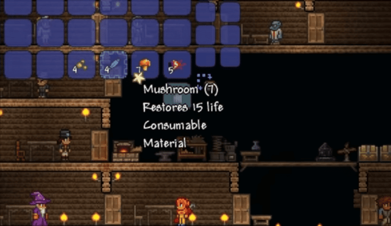 Terraria: How to Use The Favorite Items Feature?