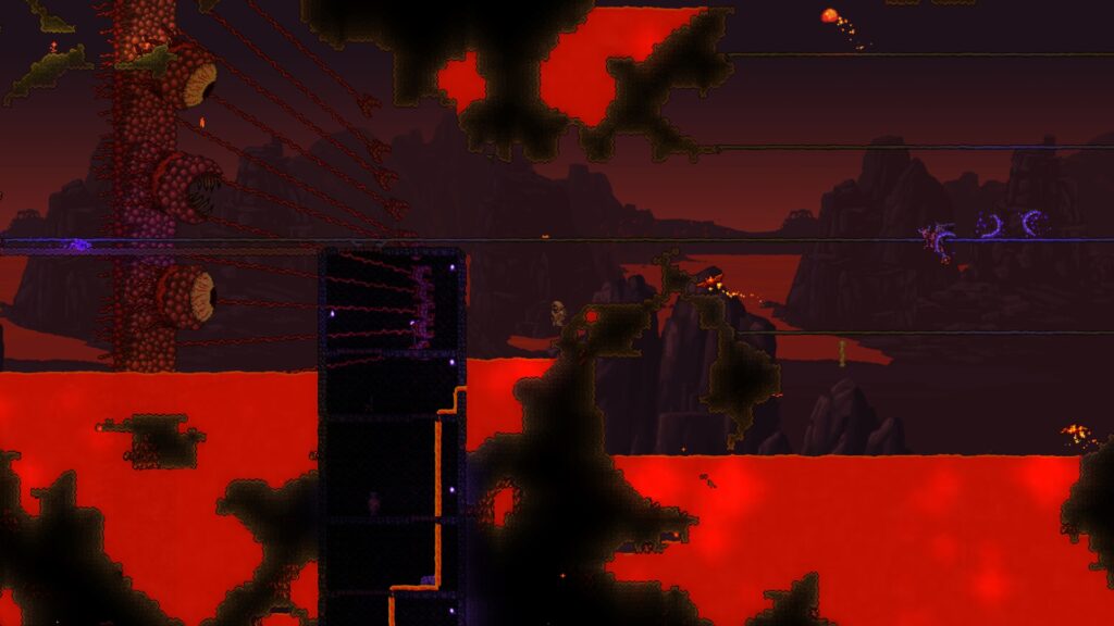 The Wall of Flesh in Terraria.